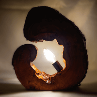 Lampe du bois vivant